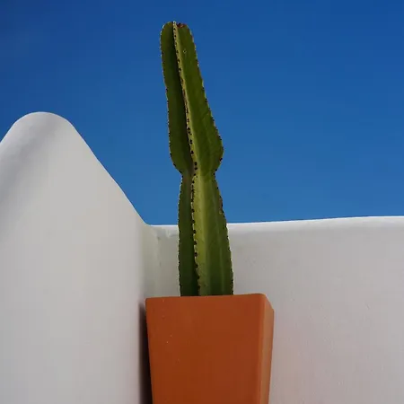 1º Planta Holiday home Piles