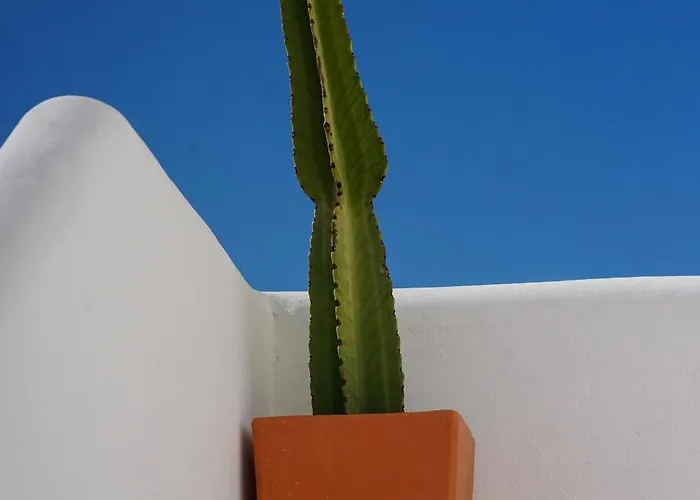 1º Planta بيت للعطل بيليس